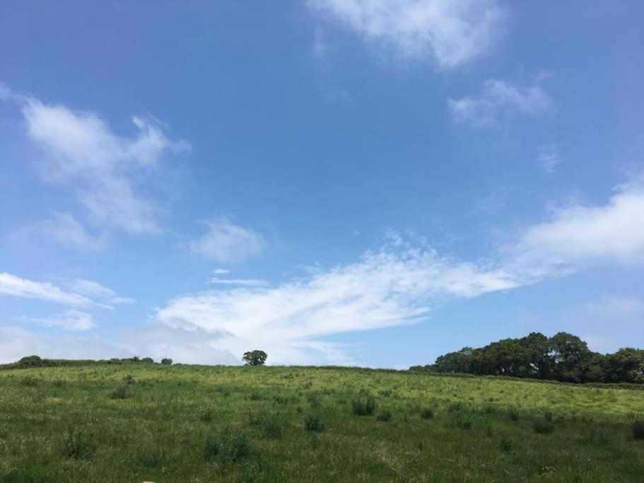 Park Gate House Farm Holidays, Colyton-'Elizabeth Dış mekan fotoğraf